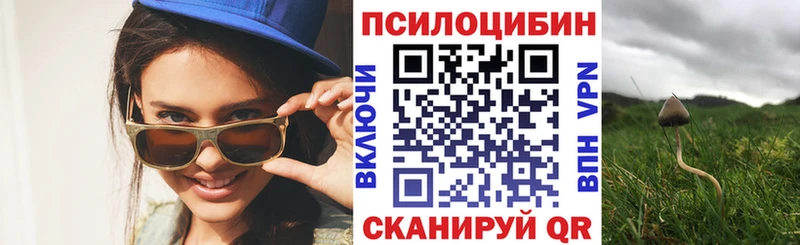 Псилоцибиновые грибы Psilocybine cubensis  Протвино 
